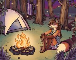  2017 abigfathen anthro bikini bikini_top biped bottomwear brown_hair campfire canid canine chest_tuft clothing detailed_background dipstick_tail discarded_clothing ear_piercing female forest fox gloves_(marking) hair inner_ear_fluff leg_markings long_hair mammal markings multicolored_tail night outside piercing plant shirt shorts sitting smile socks_(marking) solo swimwear tail tail_markings tent topwear towel tree tuft 