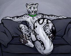  2014 4_toes anthro bell biped collar convenient_censorship digitigrade feet felid fur furniture hair jingle_bell looking_at_viewer mammal markings mars_(thequeenofmars) mortisreptus nude on_sofa pantherine pawpads snow_leopard sofa solo spots spotted_body spotted_fur toes whiskers 