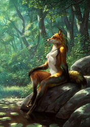  2018 5_fingers anthro biped black_lips black_nose breasts canid canine casual_nudity dappled_light day detailed_background digital_media_(artwork) digitigrade falling_leaves featureless_breasts female fingers forest forest_background fox full-length_portrait hi_res holding_knee holding_leg johis light lily_pad lips mammal nature nature_background on_rock outside partially_submerged plant pond portrait reyna_(reynafox) rock scenery shrub side_view sitting slim small_breasts smile solo sunlight tree under_shade water whiskers wind 