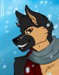  2017 anthro canid canine canis domestic_dog german_shepherd herding_dog keisha_makainn male mammal martin_(qckslvrslash) pastoral_dog scarf snow snowing solo 