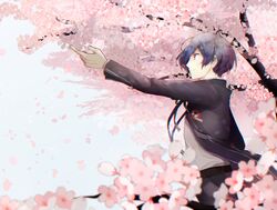  1boy blue_hair cherry_blossoms commentary_request flower gekkoukan_high_school_uniform jacket male_focus mentaishi persona persona_3 school_uniform smile solo tree yuuki_makoto_(persona_3) 