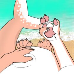  1:1 4_toes 5_fingers ambiguous_gender anthro barefoot belly belly_expansion belly_inflation belly_rub belly_squeeze belly_squish big_belly big_tail claws countershade_hands countershading digital_drawing_(artwork) digital_media_(artwork) expansion feet finger_claws fingers first_person_view fish growth hindpaw human_to_anthro inflation kaiko_(kaikotheshark) kaikotheshark looking_at_hand male mammal marine mid_transformation overweight overweight_male pawpads paws shark solo species_transformation squish stomach_bulge tail toe_claws toes transformation transformation_pov 