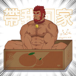  1boy abs animal_collar bara beard blush box closed_mouth collar completely_nude facial_hair fate/zero fate_(series) feiya6022 for_adoption highres iskandar_(fate) large_pectorals male_focus muscular muscular_male navel nipples nude pectorals red_hair short_hair sitting solo translation_request 