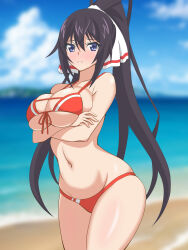  arms_under_breasts bare_arms beach bikini black_hair blue_eyes blue_sky blurry blurry_background blush breasts cleavage closed_mouth cloud collarbone commentary_request day female hair_between_eyes hata_(pixiv10403940) highres infinite_stratos large_breasts long_hair looking_at_viewer navel ocean outdoors ponytail red_bikini shinonono_houki sidelocks sky solo standing swimsuit very_long_hair 