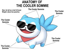  :3 ambiguous_gender anatomy_reference blue_body blue_fur canid canine canis domestic_dog english_text eyewear feral fire_emblem fire_emblem_engage flamingopunch fur hi_res mammal meme mostly_nude nintendo scarf simple_background solo sommie_(fire_emblem) sunglasses sunglasses_on_face text white_background white_body white_fur 