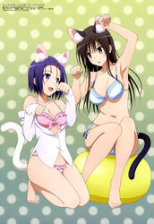  2girls :d :o absurdres animal_ears arm_up armpits bare_legs bare_shoulders barefoot beads bikini bikini_under_clothes black_hair blue_bikini blush breasts brown_hair buttons cat_ears cat_tail cleavage dress_shirt eye_contact fake_animal_ears frilled_bikini frills front-tie_bikini_top front-tie_top full_body gradient_background green_background hair_ornament hairclip happy highres kemonomimi_mode kneeling kotegawa_yui long_hair long_sleeves looking_at_another megami_magazine multiple_girls navel off_shoulder official_art open_mouth parted_bangs paw_pose pink_bikini polka_dot polka_dot_background purple_eyes sairenji_haruna scan shirt side-tie_bikini_bottom sideboob sitting sleeves_past_wrists small_breasts smile striped_bikini striped_clothes swimsuit tail taketani_kyouko to_love-ru to_love-ru_darkness to_love-ru_darkness_2nd white_bikini white_shirt yellow_eyes 