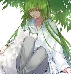  1other androgynous animal collarbone commentary_request dappled_sunlight enkidu_(fate) fate/strange_fake fate_(series) green_eyes green_hair grey_pants grin half-closed_eyes kan&#039;yu_(citron_82) knees_up long_hair long_sleeves looking_at_animal pants petting raised_eyebrows robe simple_background sitting smile sunlight tree tree_shade under_tree very_long_hair white_background white_robe white_wolf wolf wolf_(fate) 