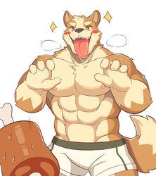  4_fingers abs anthro blush bodily_fluids bottomwear breath brown_body brown_fur canid canine canis clothed clothing domestic_dog drooling fingers fur kemono male mammal meat_on_bone moki_(artist) nipples open_mouth pecs pink_nipples saliva shiba_inu simple_background solo sparkles sparkling_eyes spitz tan_body tan_fur teeth tongue tongue_out topless white_background white_bottomwear white_clothing 