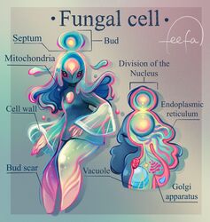  biped cell_(organism) cell_humanoid cell_nucleus endoplasmic_reticulum english_text feefal female golgi_apparatus hi_res humanoid mitochondria not_furry organelle pseudo_hair solo text 