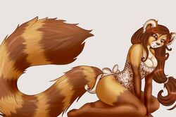  ailurid anthro big_tail breasts brown_body brown_eyes brown_fur brown_hair cleavage closed_(disambiguation) clothed clothing digital_media_(artwork) eyebrows eyelashes female fluffy fluffy_tail fur gloves_(marking) hair leg_markings mammal markings red_panda ring_(marking) ringed_tail robyn_paperdoll shaded simple_background smile socks_(marking) solo striped_markings striped_tail stripes tail tail_markings white_background 