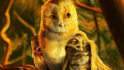  avian barn_owl bird brown_body brown_feathers closed_eyes digger_(gogh) feathers female feral group guardians_of_ga&#039;hoole gylfie holymoon male owl size_difference soren_(gogh) trio tyto tytonid white_body white_feathers yellow_eyes 