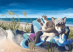  anthro athletic beach blue_body blue_eyes blue_fur canid canine canis claws clothing cloud cuddling date domestic_dog duo ears_up eye_contact fur grass grey_body grey_fur hair happy heart_symbol hug looking_at_another love male male/male mammal orange_eyes paws plant rahne sand sea seaside shiba_inu sky smile spitz sun swimming_trunks swimwear tail tail_motion tailwag tarumeow teth water wolf 