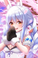  :d ako_suke animal_ear_fluff animal_ears bare_shoulders black_bra black_gloves blue_hair blush bow bra braid carrot_hair_ornament cherry_blossoms commentary_request detached_sleeves female food-themed_hair_ornament fur-trimmed_gloves fur_collar fur_trim gloves hair_ornament hairbow highres hololive long_hair looking_at_viewer multicolored_hair open_mouth own_hands_together petals purple_ribbon rabbit_ears rabbit_girl red_eyes ribbon short_hair sidelocks smile solo thick_eyebrows tree twin_braids two-tone_hair underwear upper_body usada_pekora usada_pekora_(1st_costume) virtual_youtuber white_bow white_hair 