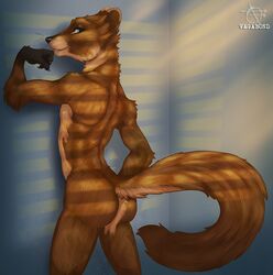  2015 anthro ass blue_eyes claudius dust_in_the_light gulonine light light_beam looking_at_viewer looking_back looking_back_at_viewer male mammal marten mustelid musteline nude pine_marten pose seductive simple_background solo tail vagabond_(artist) 