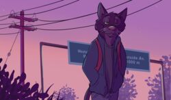  2018 absurd_res anthro black_body black_fur black_tail bottomwear clothed clothing digital_media_(artwork) domestic_cat felid feline felis fur grey_body grey_fur hi_res jacket leaf looking_at_viewer male mammal mikey_(paintfox) multicolored_body multicolored_fur outside paintfox pants pink_sky plant power_line power_lines shirt sign sky solo star tail topwear two_tone_body two_tone_fur walking whiskers yellow_sclera 