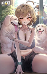  absurdres ahoge animal anis_(nikke) black_shorts blurry blush bokeh breasts brown_eyes brown_hair canine cleavage collarbone commentary_request depth_of_field female goddess_of_victory:_nikke grey_sports_bra half-closed_eye highres large_breasts looking_to_the_side navel open_fly plant potted_plant rossy_(yowayowachimpo) saliva saliva_trail short_hair shorts sitting smartwatch smile sports_bra stomach thighs tongue tongue_out watch wristwatch 