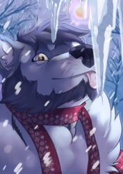  2020 anthro beard brown_eyes canid canine canis clothed clothing digital_media_(artwork) facial_hair fur grey_body grey_fur grey_hair hair hi_res icicle kevintheradioguy licking male mammal scarf simple_background smile snow solo stuck tongue tongue_out tongue_stuck whiskers white_body white_fur wolf 