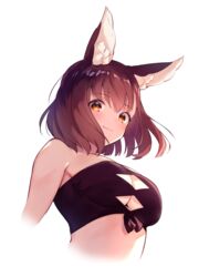  animal_ear_fluff animal_ears bandeau bare_shoulders breasts calm_mashiro cleavage cleavage_cutout clothing_cutout cropped_torso female hound_(sekaiju) hound_2_(sekaiju) large_breasts looking_at_viewer orange_eyes red_hair sekaiju_no_meikyuu sekaiju_no_meikyuu_5 short_hair simple_background smile solo strapless tube_top white_background 