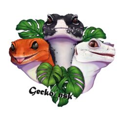  alpha_channel ambiguous_gender black_eyes blep bust_portrait eublepharid feral fihell forked_tongue gecko group hi_res leaf leopard_gecko lizard looking_at_viewer open_mouth portrait realistic reptile scalie tongue tongue_out trio 