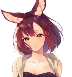  animal_ear_fluff animal_ears bare_shoulders breasts calm_mashiro cleavage closed_mouth collarbone female hound_(sekaiju) hound_2_(sekaiju) looking_at_viewer orange_eyes portrait red_hair sekaiju_no_meikyuu sekaiju_no_meikyuu_5 short_hair simple_background solo vest white_background 