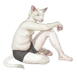  2021 anthro belly blonde_hair briefs briefs_only cettus clothed clothing domestic_cat elbow_on_knee feet felid feline felis fur hair hairless hairless_cat hakon_brandvold hand_on_foot looking_at_viewer male mammal nipples partially_clothed peterbald pinup pose simple_background sitting slightly_chubby slightly_chubby_anthro slightly_chubby_male solo topless underwear underwear_only white_background white_body white_fur 