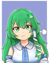  :t absurdres bad_id bad_pixiv_id bare_shoulders blue_background border breasts collared_shirt cyczen detached_sleeves female frog_hair_ornament green_eyes green_hair hair_between_eyes hair_ornament hair_tubes highres kochiya_sanae large_breasts long_hair looking_at_viewer outline outside_border parody pout shirt sidelocks simple_background snake_hair_ornament solo style_parody touhou upper_body v-shaped_eyebrows white_border white_outline white_shirt wool_(miwol)_(style) 