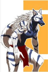  2:3 anthro aogoushitsu aozora_(nosada) black_nose bottomwear canid canine canis clothing fur loincloth male mammal multicolored_body multicolored_fur solo two_tone_body two_tone_fur wolf yellow_eyes 