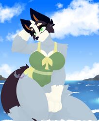  anthro australian_cattle_dog belly big_breasts bikini bikini_bottom bikini_top bluey_(series) bob_heeler breasts canid canine canis cattledog cheek_tuft clothing detailed_background domestic_dog ears_up facial_tuft female fluffy fluffy_tail fur green_eyes grey_body grey_fur head_tuft herding_dog hi_res huge_breasts long_tail mammal multicolored_body multicolored_fur pastoral_dog paws rule_63 sea sky skyscape slightly_chubby slightly_chubby_anthro slightly_chubby_female smile solo swimwear tail thick_thighs tsukipaw tuft two-piece_swimsuit walking water watermark white_body white_fur 