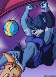  anthro ball basketball basketball_(ball) basketball_hoop basketball_jersey basketball_shorts basketball_uniform canid canine clothing dark_lips dunk duo fara_phoenix female fox hi_res kick krystal_(star_fox) krystal_appreciation_month mammal nintendo pawpads paws sketchybug sportswear star_fox uniform 