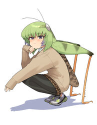  antennae arthropod_girl bug cardigan evolvingmonkey extra_legs female grasshopper grasshopper_inoue green_hair highres leggings looking_at_viewer original shoes sleeves_past_wrists sneakers solo squatting white_background 