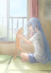  1other alternate_costume animal balcony barefoot blue_shorts calendar_(object) casual commentary_request curtains day feline female from_side full_body grey_hair hair_ribbon highres holding holding_animal holding_cat indian_style indoors kantai_collection long_hair murakumo_(kancolle) on_floor open_mouth orange_eyes pillow profile ribbon rooftop shirt shorts sidelocks sitting sky t-shirt taruya tatami tree tress_ribbon white_shirt window 