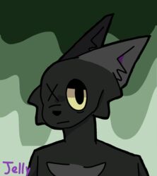  animal_humanoid anthro black_body black_fur chest_tuft domestic_cat fan_character felid feline felis fur grey_chest grey_ear humanoid jellythekatt male mammal mammal_humanoid missing_eye solo tuft yellow_eyes 