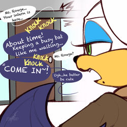  1:1 absurd_res anthro bat dialogue door english_text female goat-kun hi_res knocking mammal markings mole_(marking) office rouge_the_bat sega solo sonic_the_hedgehog_(series) sound_effects text wings 