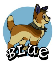  2012 adobe_photoshop_(artwork) alpha_channel ambiguous_gender badge blue_(sebdoggo) blue_eyes blue_inner_ear blue_nose brown_body brown_fur canid canine canis character_name conbadge digital_drawing_(artwork) digital_media_(artwork) digitigrade domestic_dog eyebrows feral flat_colors freckles full-length_portrait fur grey_sclera head_tuft herding_dog kerchief low_res mammal mixed_breed neckerchief open_mouth open_smile outline pastoral_dog pattern_kerchief pattern_neckerchief plaid_kerchief plaid_neckerchief portrait raised_tail sebdoggo smile snout solo standing tail tan_body tan_fur tuft welsh_corgi white_outline 