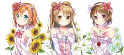  3girls blue_eyes bokutachi_wa_hitotsu_no_hikari brown_hair choker commentary_request flower hair_flower hair_ornament hairband highres koizumi_hanayo kosaka_honoka long_hair love_live! love_live!_school_idol_project minami_kotori multiple_girls one_side_up printemps_(love_live!) purple_eyes short_hair smile sunflower yotsuba_haru 