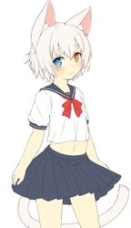  1boy animal_ears blue_eyes blush cat_boy cat_ears cat_tail commentary_request heterochromia highres kida_kuro_mu looking_at_viewer male_focus midriff navel original otoko_no_ko pleated_skirt school_uniform shiro_(kida_kuro_mu) short_hair simple_background skirt slit_pupils solo tail white_hair yellow_eyes 