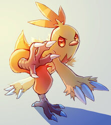  claws closed_mouth combusken commentary_request full_body fusenryo highres leg_up looking_at_viewer no_humans orange_eyes pokemon pokemon_(creature) solo standing standing_on_one_leg talons 