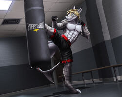  5:4 abs action_pose anthro biceps blue_eyes bodily_fluids bottomwear clothed clothing countershading dream_and_nightmare exercise fish hair kick kickboxing male marine mixed_martial_arts muscular muscular_anthro muscular_male pecs pose punching_bag shark shorts skye_(shark7) solo spread_legs spreading sweat teeth topless training 