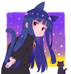  animal_ears bad_id bad_pixiv_id bell black_cat black_dress blue_hair cat_ears cat_tail collar dress feline female from_behind idolmaster idolmaster_cinderella_girls long_hair long_sleeves looking_at_viewer moyori pero_(idolmaster_cinderella_girls) purple_eyes sajo_yukimi solo star_(symbol) tail yellow_eyes 