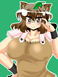  adjusting_eyewear akasode_(tyaramu) animal_ears breasts brown_eyes brown_hair commentary_request female futatsuiwa_mamizou glasses highres huge_breasts leaf leaf_on_head looking_at_viewer pince-nez raccoon_ears short_hair smile solo touhou 