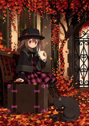  autumn_leaves bench black_bow black_hat boots bow brown_footwear brown_hair capelet closed_mouth commentary_request cross-laced_footwear cup dress feline female gate hair_between_eyes hat holding holding_cup light long_hair original outdoors pink_dress pink_eyes plaid plaid_dress sitting smile solo suitcase tozaki_makoto window 