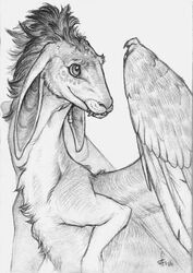  ambiguous_gender buckteeth dragon ear_piercing faellin fangs feathered_wings feathers feral fur greyscale head_tuft hi_res hybrid lagomorph leporid mammal monochrome mythological_creature mythological_scalie mythology piercing rabbit scalie sharp_teeth solo teeth tuft wings 