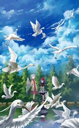  2girls bird blue_sky capelet chinese_commentary cloud commentary_request cross-laced_footwear day doremy_sweet grey_hair hat highres jacket kishin_sagume ko_kita long_sleeves multiple_girls outdoors red_eyes scenery shoes single_wing sky touhou tree water wings 