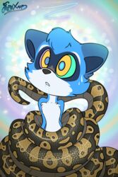  2:3 absurd_res ball_python bodily_fluids coiling drooling duo female fluffyxai hi_res hypnosis hypnotic_eyes mammal mind_control procyonid python python_(genus) raccoon reptile ringed_eyes saliva scalie snake xai_the_raccoon 