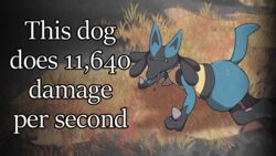  16:9 ambiguous_gender anthro black_body black_fur blue_body blue_fur boke_(artist) elden_ring english_text fromsoftware fur generation_4_pokemon grass lucario lying meme nintendo on_front plant pokemon pokemon_(species) solo text tongue tongue_out widescreen 