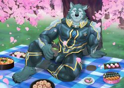  abs absurd_res adios anthro bento_box bodysuit breke_(tas) bulge canid canine canis cherry_blossom clothing countershading flower hi_res lifewonders looking_at_viewer male mammal matcha_(tea) muscular muscular_anthro muscular_male pecs picnic_blanket plant prunus_(flower) skinsuit solo tight_clothing tokyo_afterschool_summoners wolf 