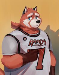  ailurid anthro black_nose blue_eyes cyanroll fur hi_res humanoid_hands male mammal overweight overweight_anthro overweight_male red_body red_fur red_panda simple_background solo 