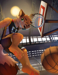  anthro arm_tuft ball barefoot basketball_(ball) basketball_uniform black_bottomwear black_clothing black_nose black_shorts black_topwear bottomwear canid canine cheek_tuft clothed clothing facial_tuft fangs feet fox fur glistening glistening_eyes green_eyes grin hi_res inside juncos_(jayfeath3r) kuttoyaki looking_at_viewer male mammal motion_blur neck_tuft orange_body orange_fur pawpads red_pawpads shorts shoulder_tuft smile solo sportswear tan_body tan_fur teeth topwear tuft uniform white_clothing white_topwear yellow_bottomwear yellow_clothing yellow_shorts yellow_topwear 