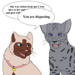  1:1 2015 aliasing ambiguous_gender angry ashfur_(warriors) birman_cat black_text black_whiskers blue_eyes brown_body brown_fur brown_inner_ear collar collar_tag colored colorpoint crossover dialogue digital_drawing_(artwork) digital_media_(artwork) domestic_cat duo english_text fae_(serenity) felid feline felis female_(lore) feral flat_colors fur grey_body grey_fur grey_inner_ear grey_nose heart_collar_tag heart_tag himalayan_cat incel low_res male_(lore) mammal markings microsoft_paint_(artwork) mixed_breed open_mouth pink_collar pink_nose pink_tongue sebdoggo serenity_(comic) simple_background speech_bubble spots spotted_body spotted_fur spotted_tabby tabby_cat talking_feral teeth text tongue warriors_(book_series) whiskers white_background white_body white_fur 