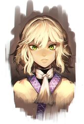  bad_id bad_twitter_id female green_eyes kinketsu lips looking_at_viewer mizuhashi_parsee parted_lips pointy_ears portrait robe scarf short_hair solo touhou undershirt 